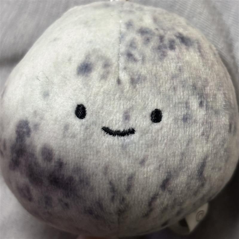 缶サット班リーダー